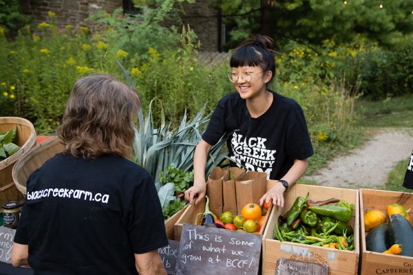 Black Creek Farm Stand & Market｜2026年6月〜10月の画像